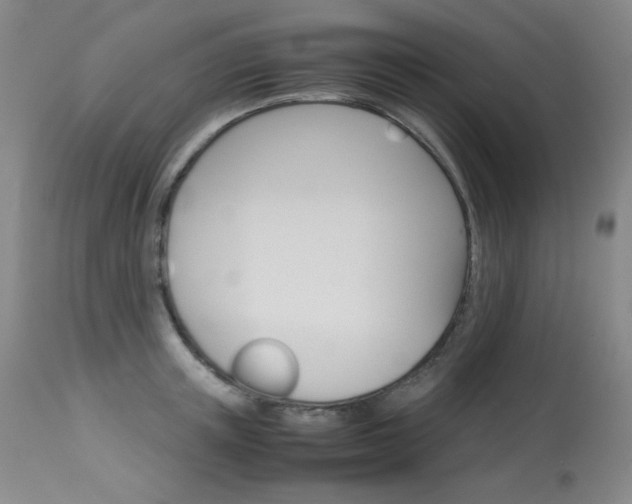 X0000114140851200910081024