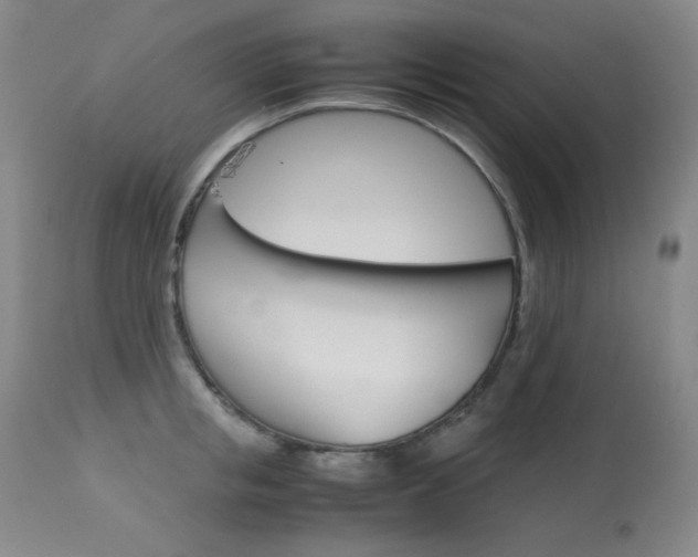 X0000114140853200910081024