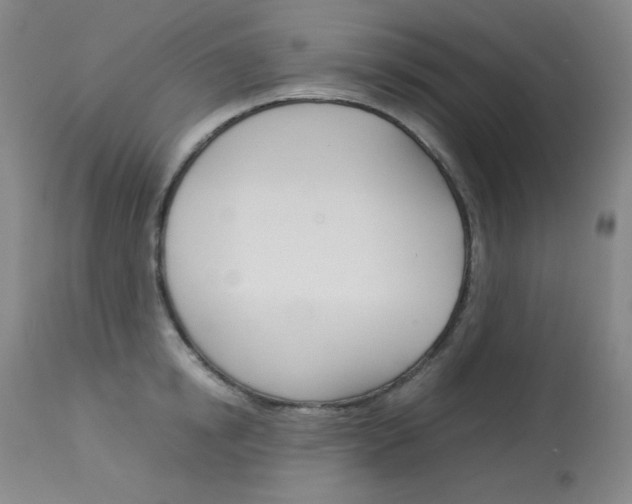 X0000114140854200910081024
