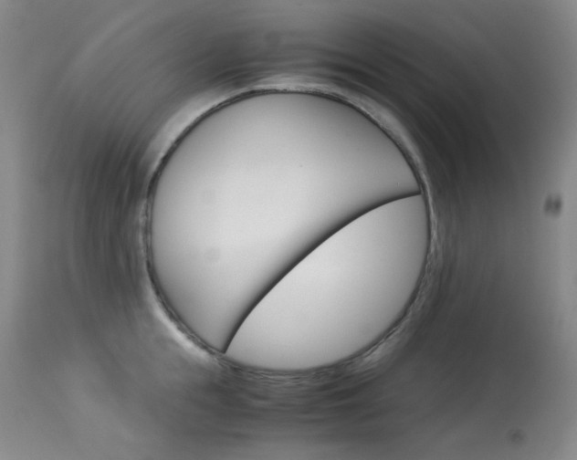 X0000114140855200910081024