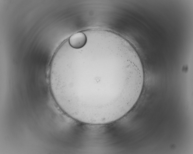 X0000114140856200910081024
