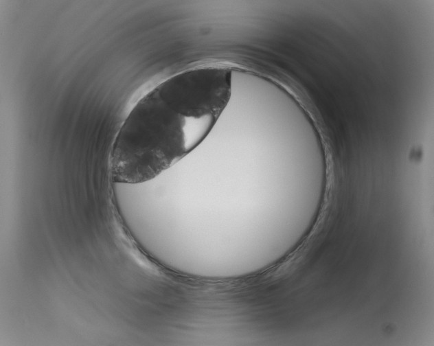 X0000114140858200910081024