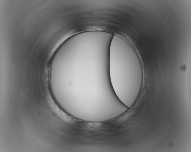 X0000114140859200910081024