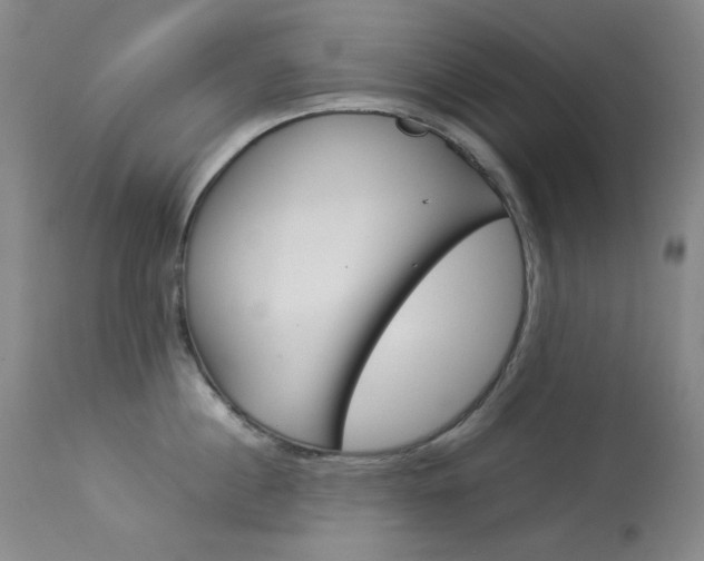 X0000114140860200910081024