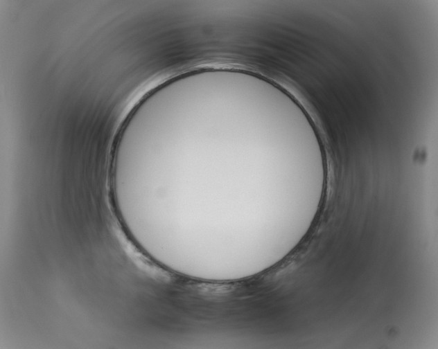 X0000114140861200910081024