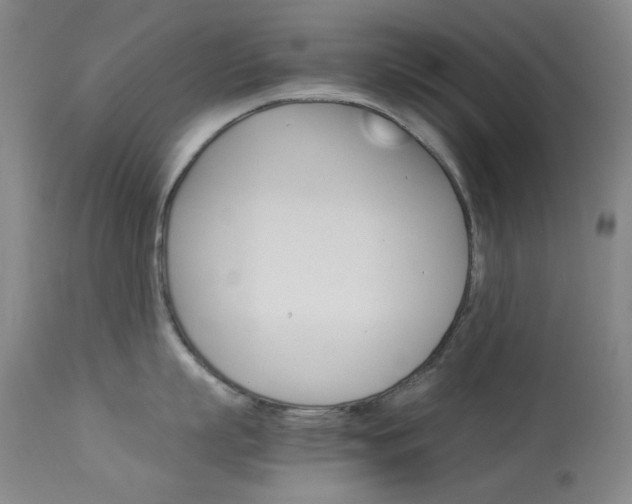 X0000114140863200910081024