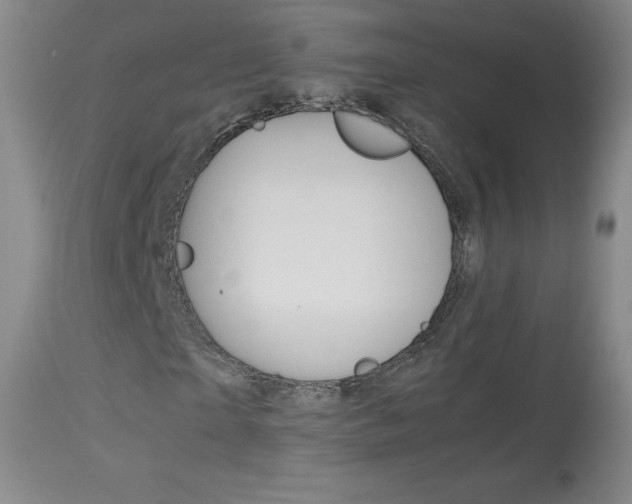 X0000114140865200910081024