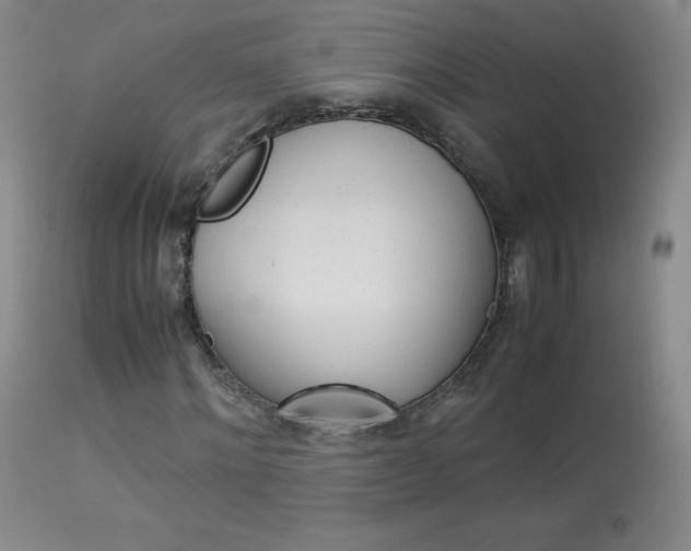 X0000114140868200910081023