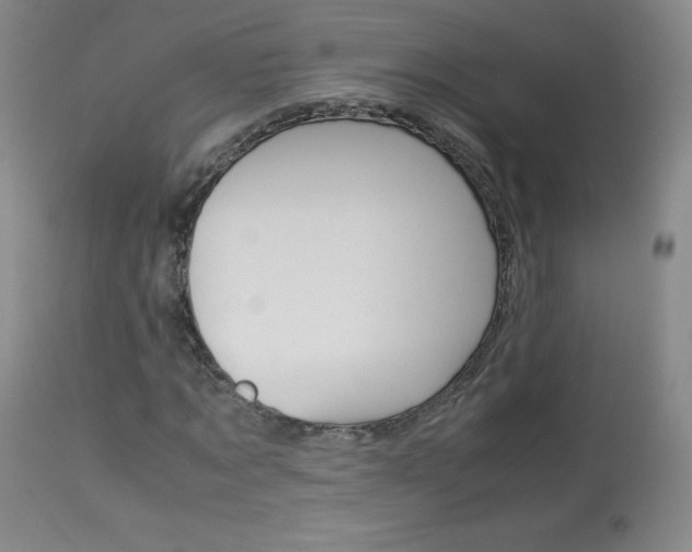 X0000114140869200910081023