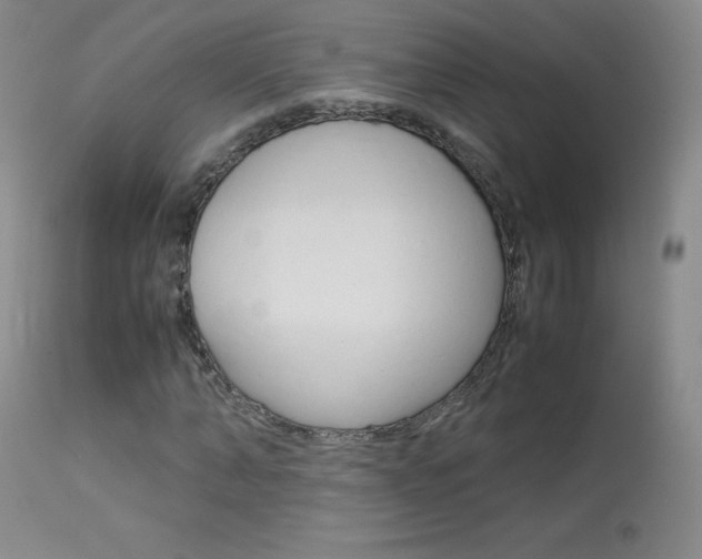 X0000114140870200910081023