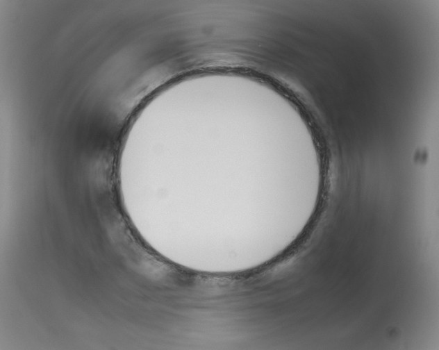 X0000114140873200910081023