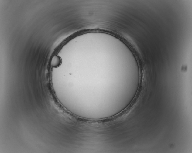 X0000114140876200910081023