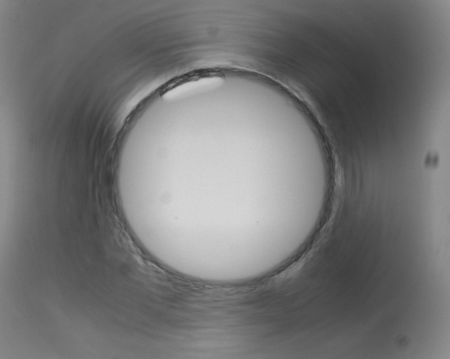X0000114140877200910081023