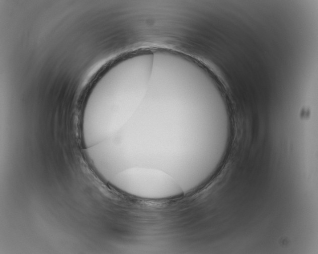 X0000114140878200910081023