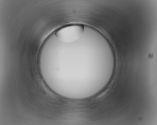 X0000114140885200910081023