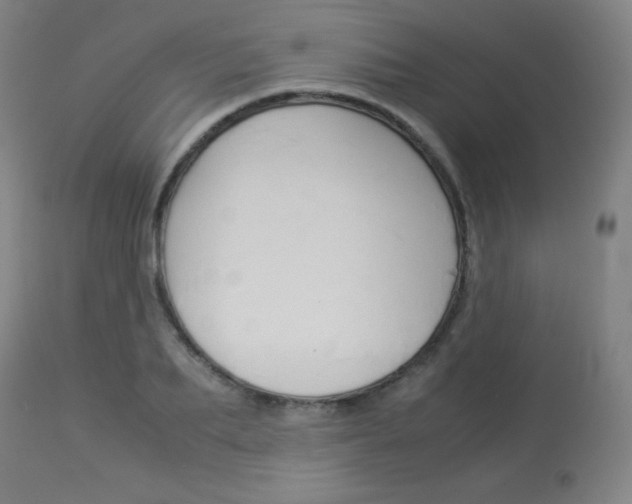 X0000114140887200910081023