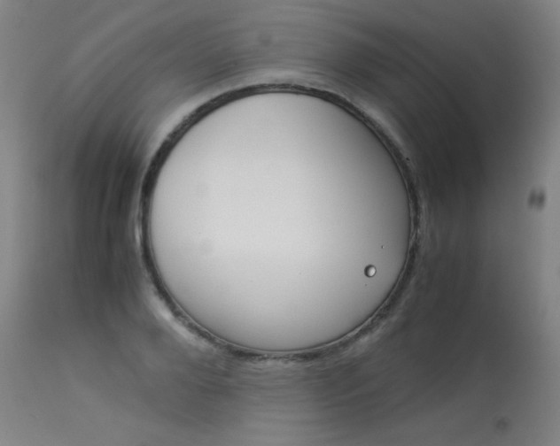 X0000114140888200910081023
