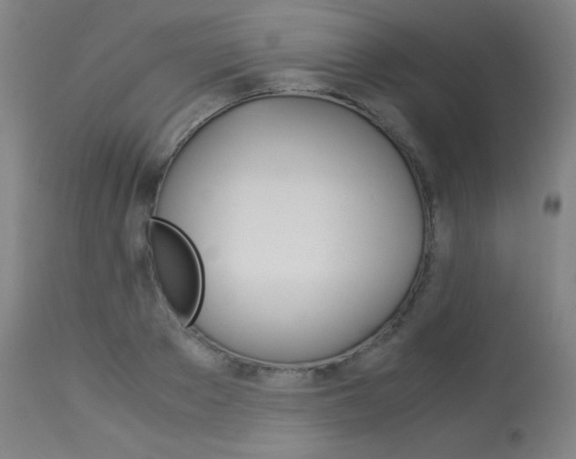 X0000114140889200910081023