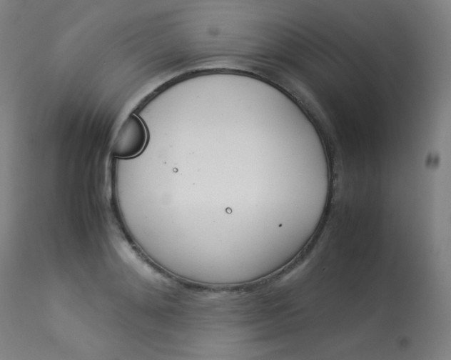 X0000114140892200910081023