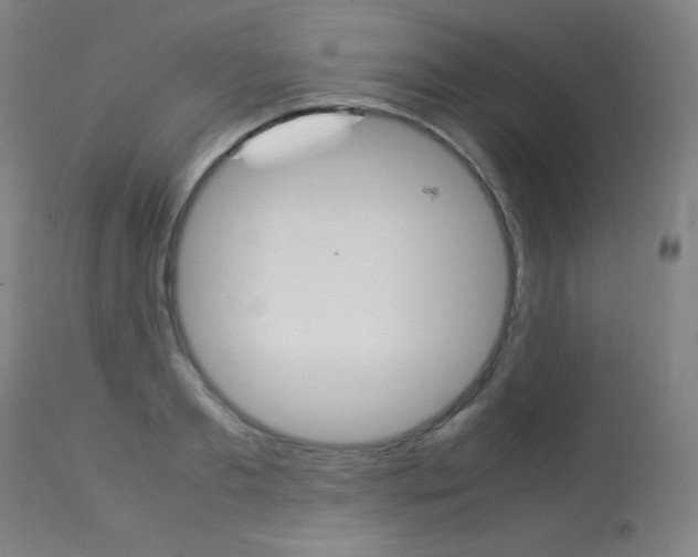X0000114140893200910081023