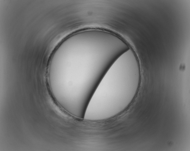 X0000114140895200910081023