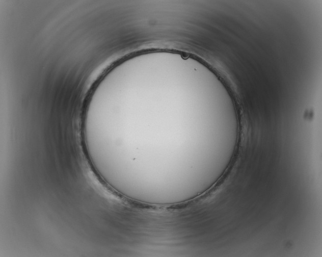 X0000114140896200910081023