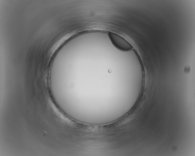 X0000114140901200910081023