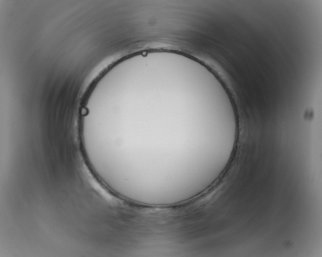 X0000114140902200910081023