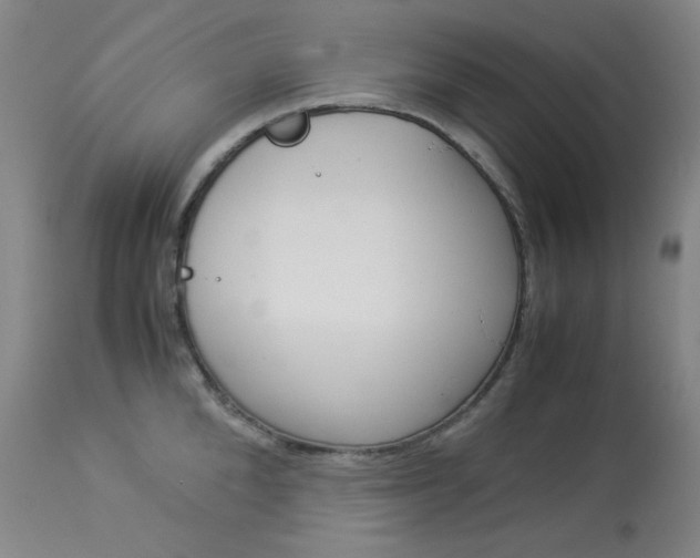 X0000114140904200910081023