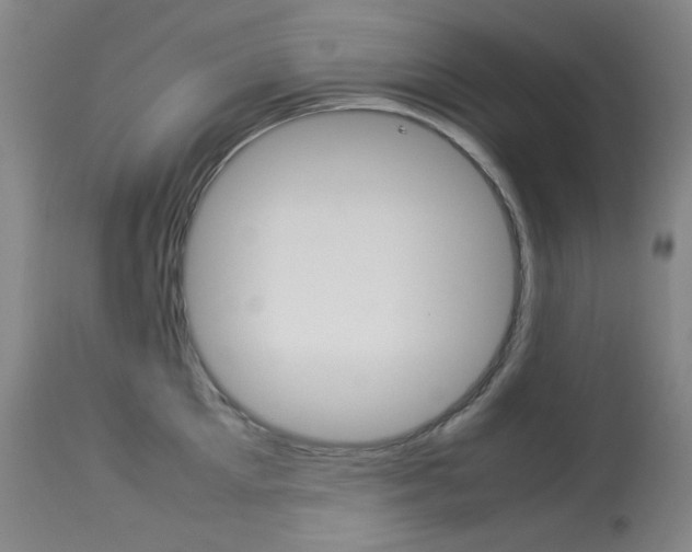 X0000114140905200910081023