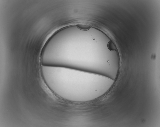 X0000114140907200910081023