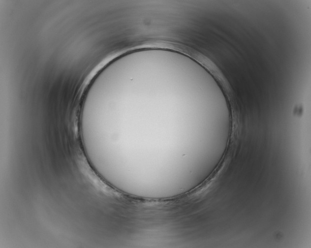 X0000114140908200910081023