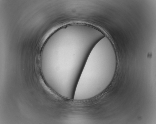X0000114140911200910081023