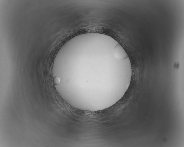 X0000114140913200910081022