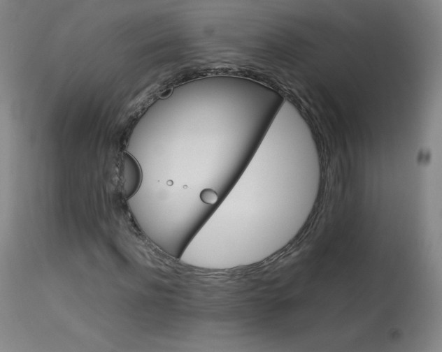 X0000114140916200910081022