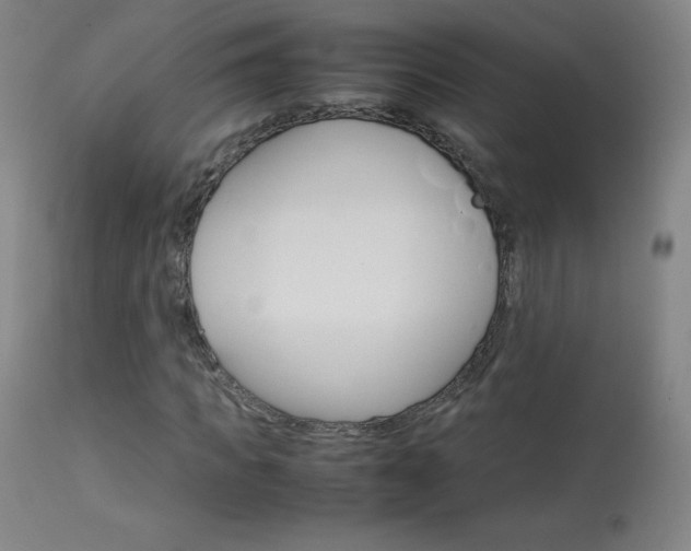 X0000114140917200910081022
