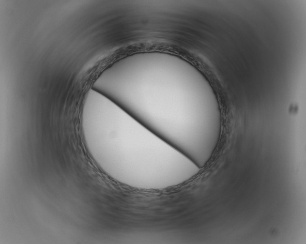 X0000114140919200910081022