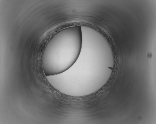 X0000114140920200910081022