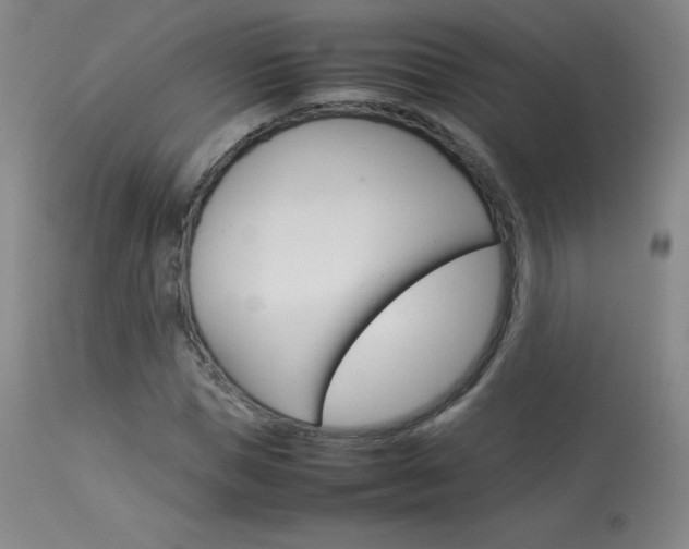 X0000114140921200910081022