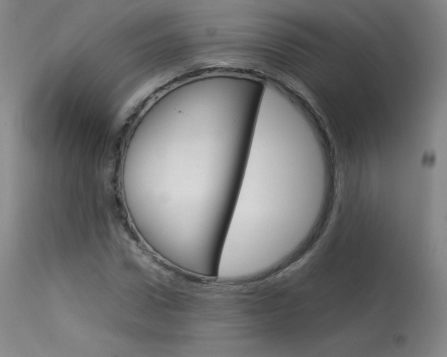 X0000114140922200910081022