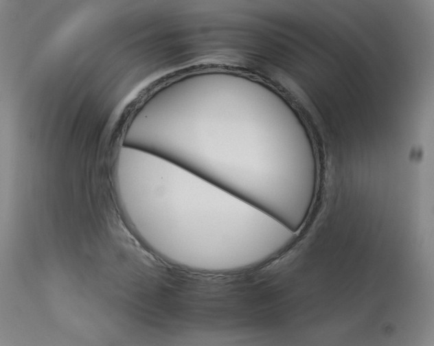 X0000114140923200910081022
