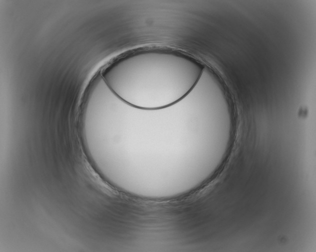 X0000114140924200910081022