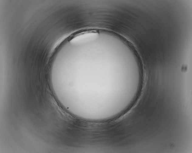 X0000114140925200910081022