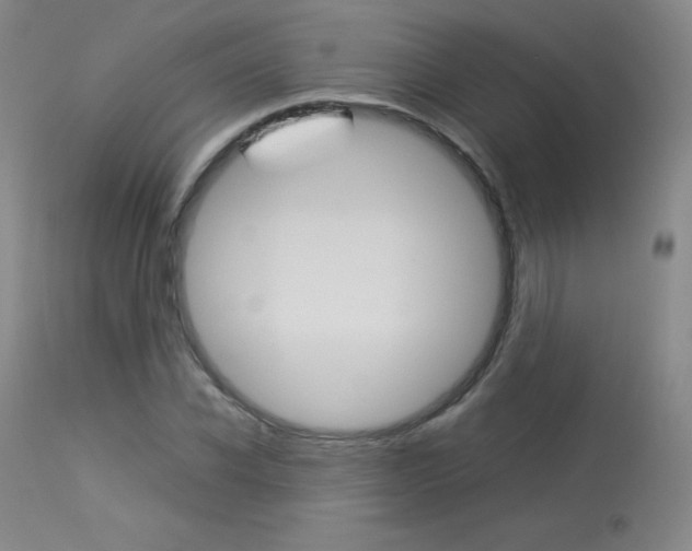 X0000114140926200910081022