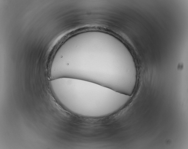 X0000114140927200910081022
