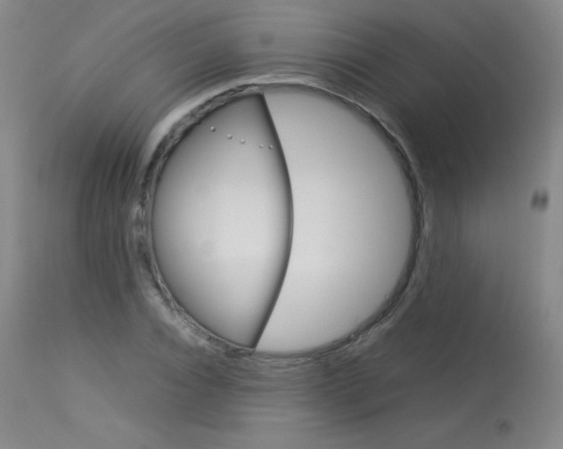 X0000114140928200910081022