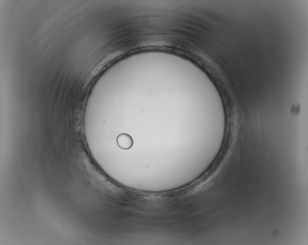 X0000114140929200910081022