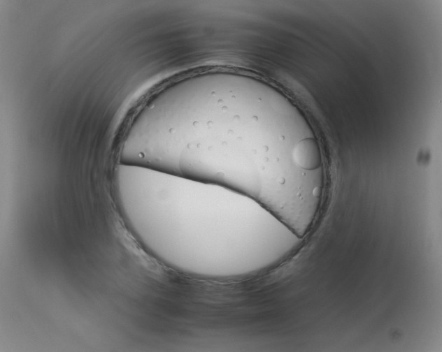 X0000114140931200910081022