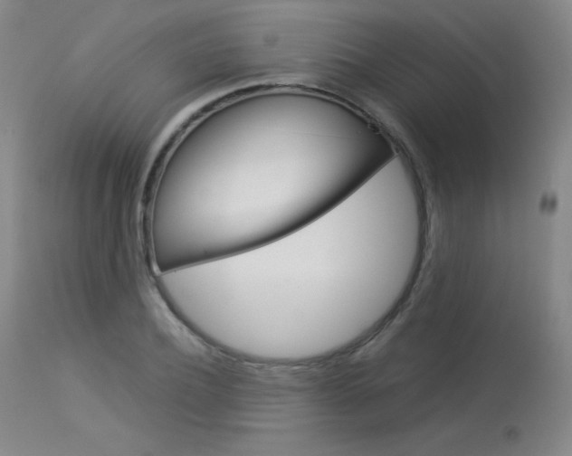 X0000114140932200910081022