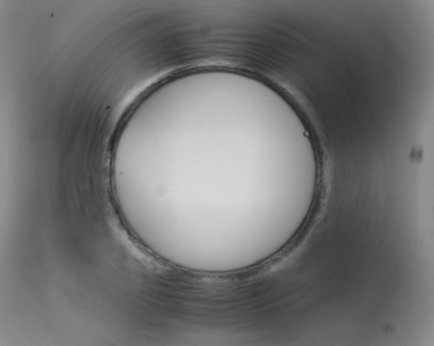 X0000114140933200910081022